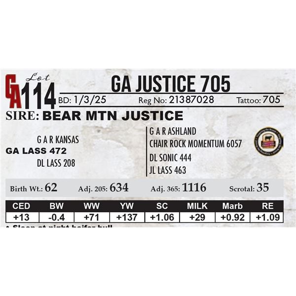 GA Justice 705
