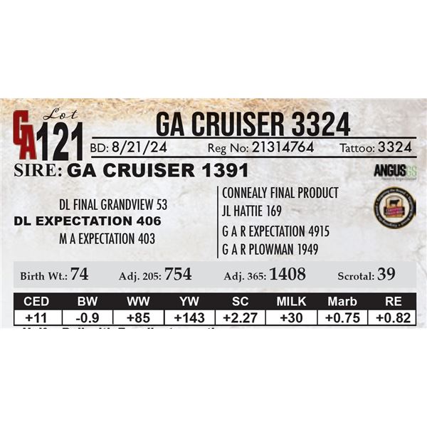 GA Cruiser 3324