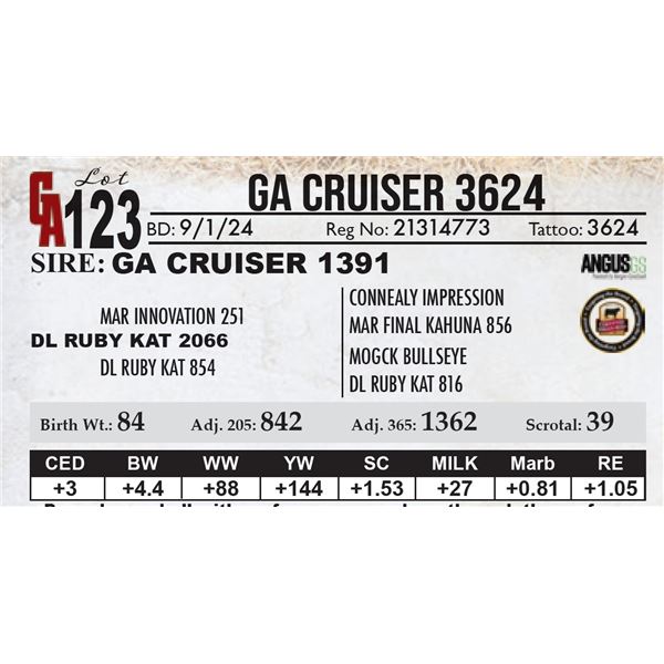 GA Cruiser 3624
