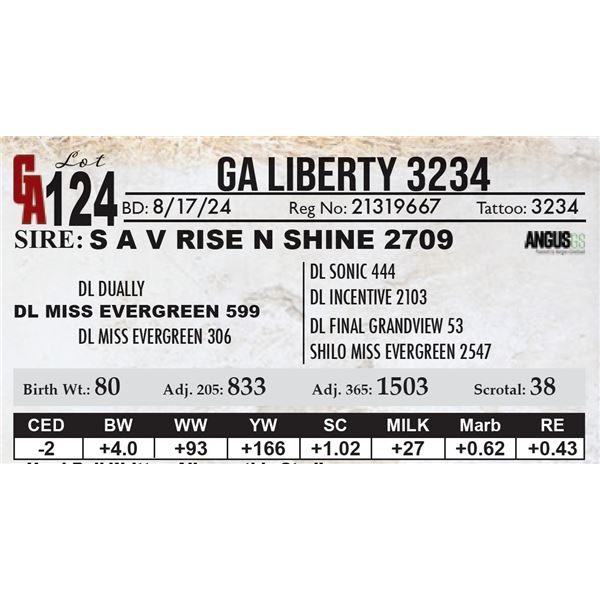 GA Liberty 3234