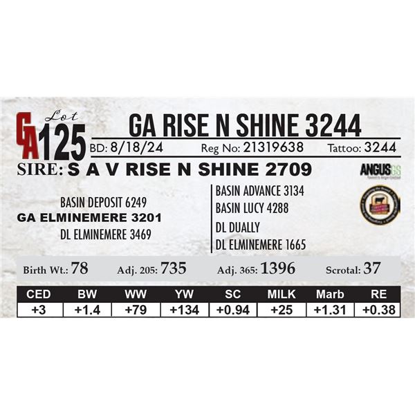 GA Rise N Shine 3244