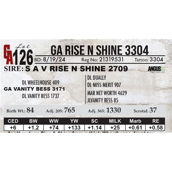 GA Rise N Shine 3304