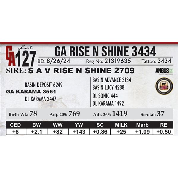 GA Rise N Shine 3434