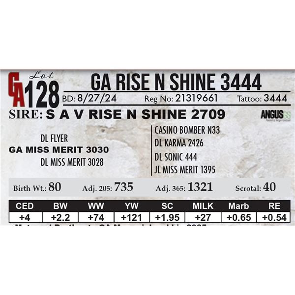 GA Rise N Shine 3444