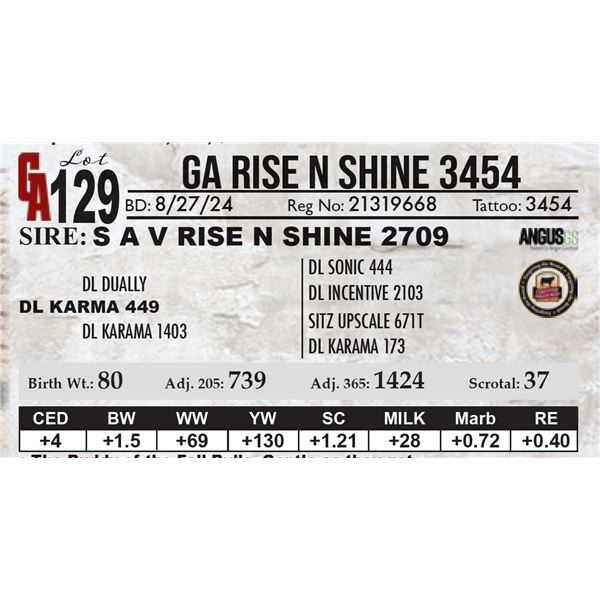 GA Rise N Shine 3454