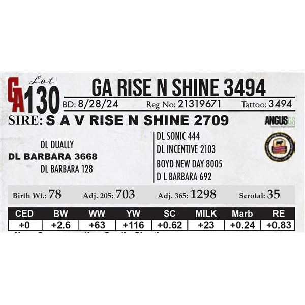 GA Rise N Shine 3484