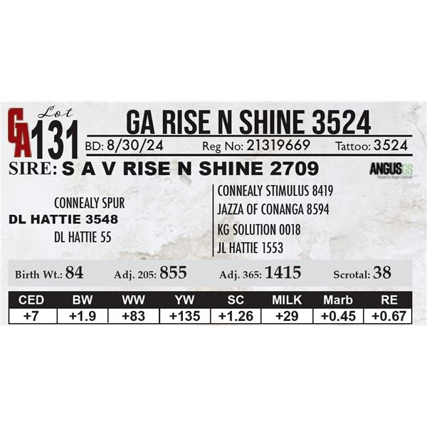 GA Rise N Shine 3524