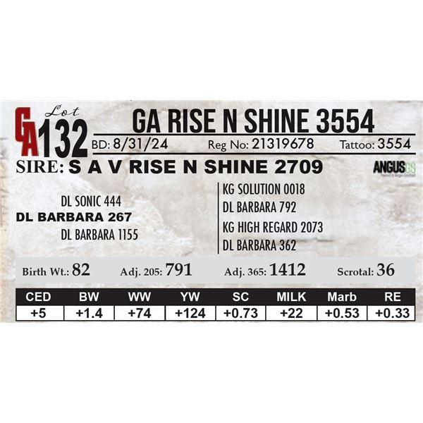 GA Rise N Shine 3554