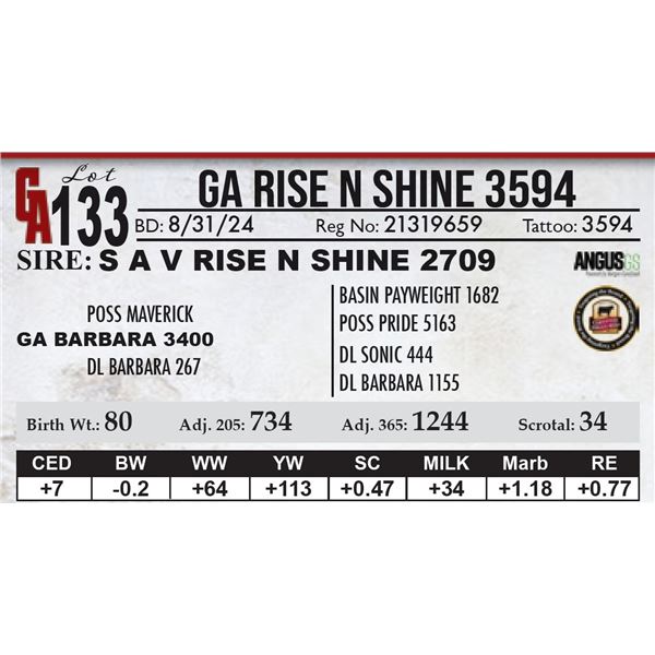 GA Rise N Shine 3594