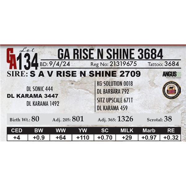 GA Rise N Shine 3684