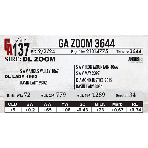 GA Zoom 3644