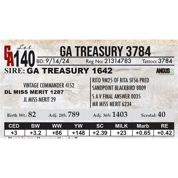 GA Treasury 3784