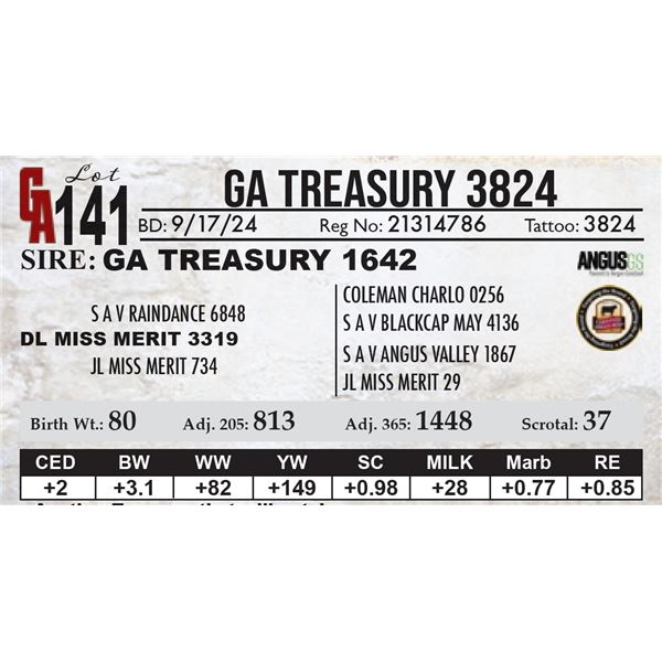 GA Treasury 3824