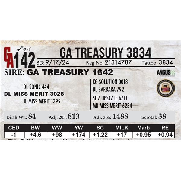 GA Treasury 3834