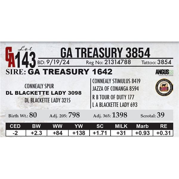GA Treasury 3854