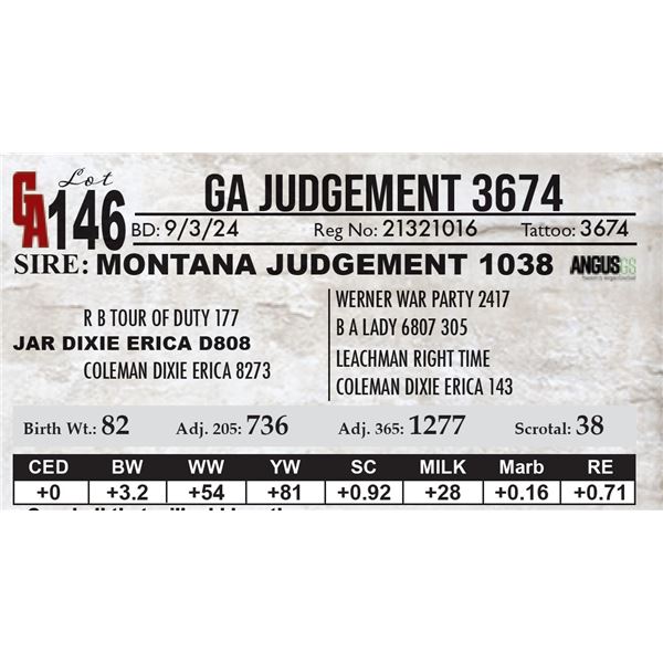 GA Judgement 3674
