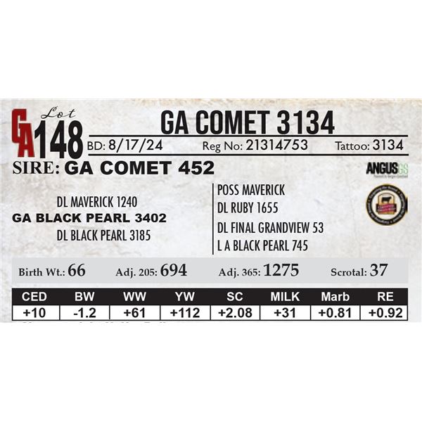 GA Comet 3134