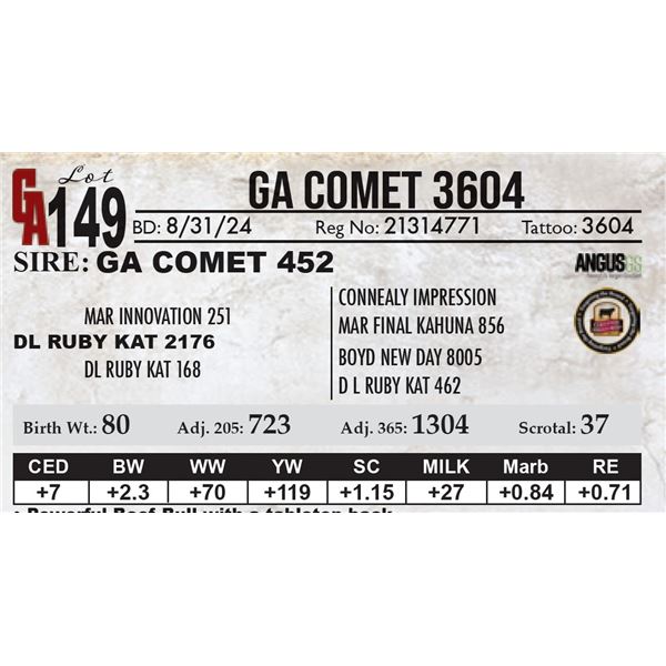 GA Comet 3604