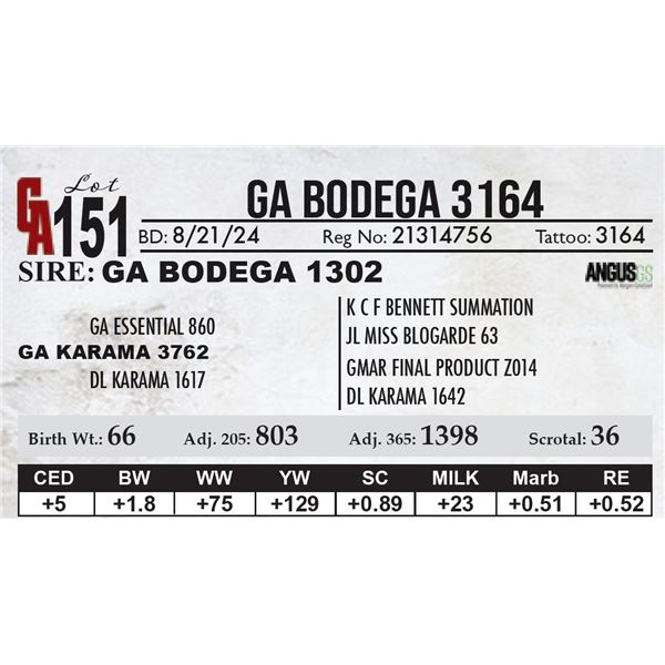 GA Bodega 3164