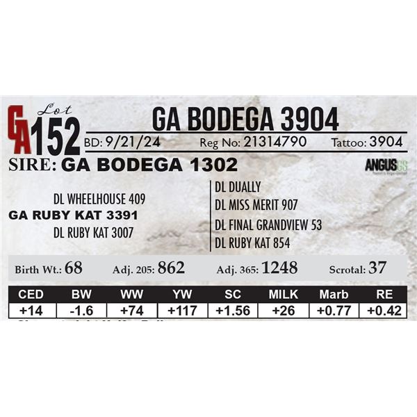 GA Bodega 3904