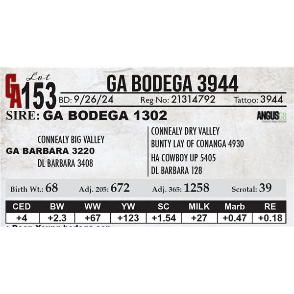 GA Bodega 3944