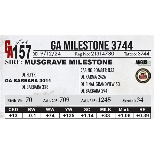 GA Milestone 3744