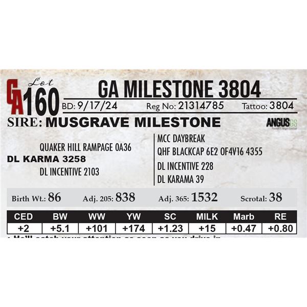 GA Milestone 3804