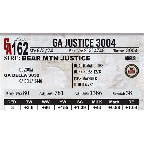 GA Justice 3004