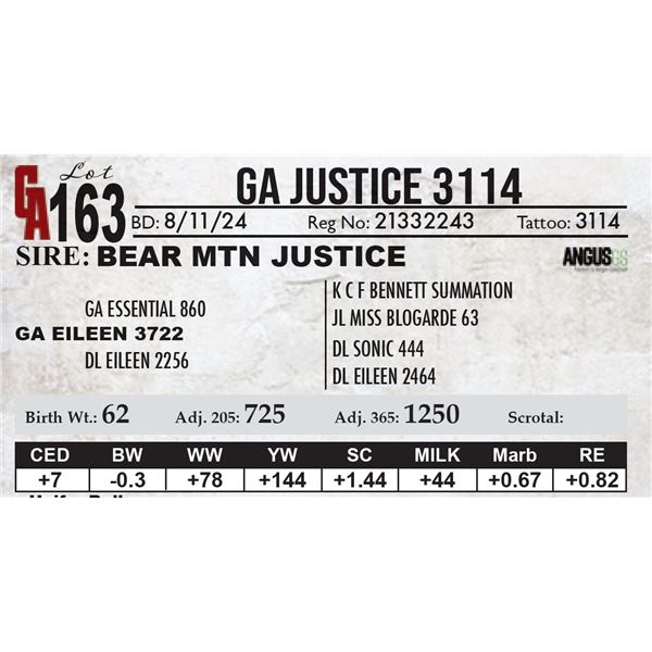 GA Justice 3114