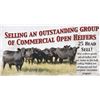 Image 1 : 25HD Comm Open Heifers