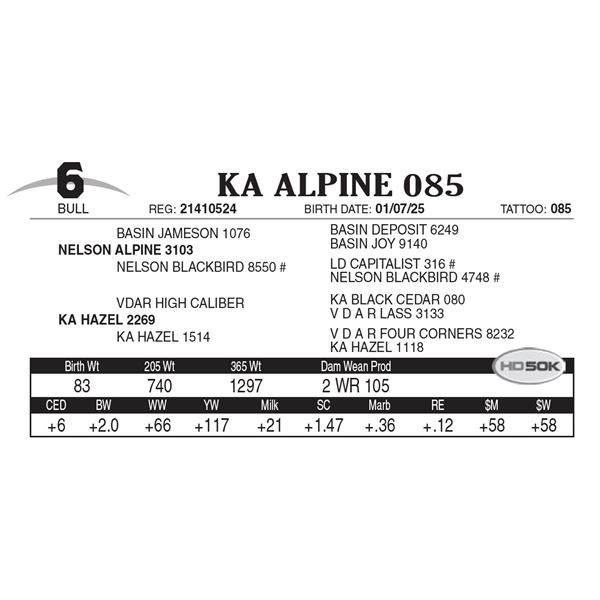 KA Alpine 085