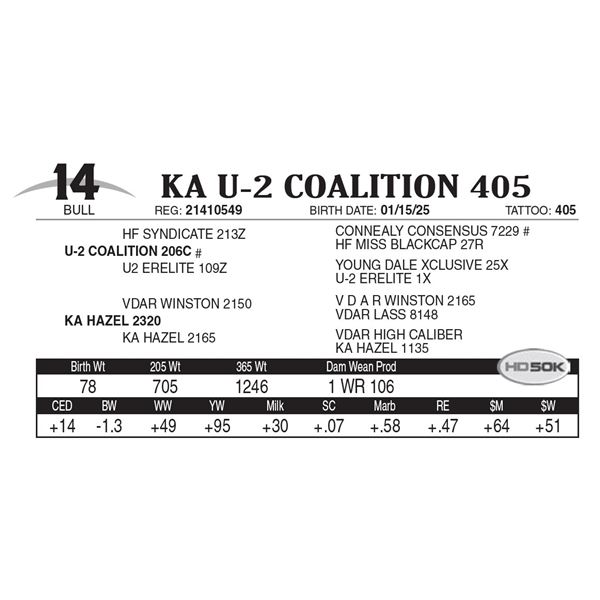 KA U-2 Coalition 405