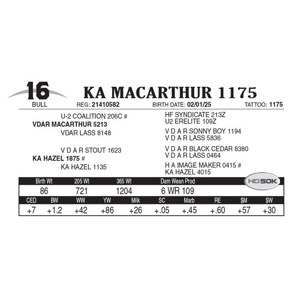 KA MacArthur 1175