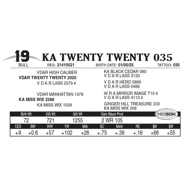 KA Twenty Twenty 035