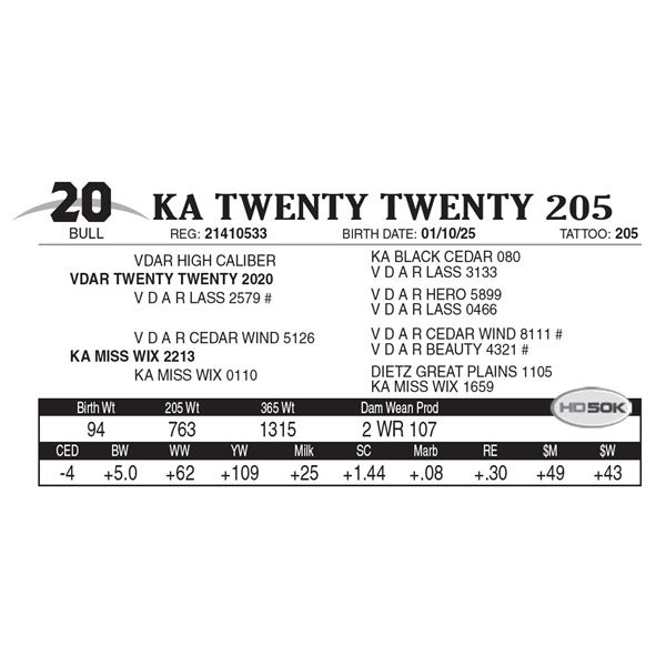 KA Twenty Twenty 205