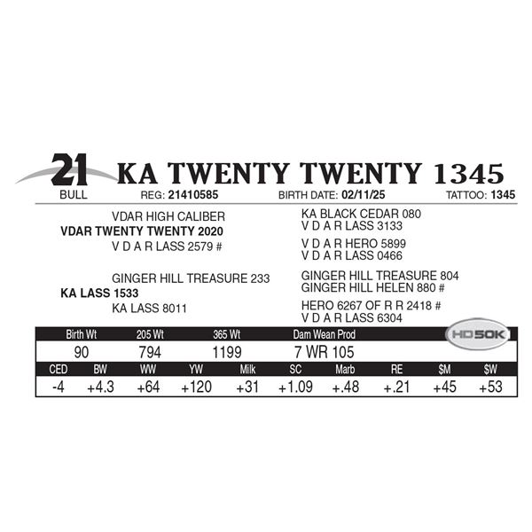 KA Twenty Twenty 1345