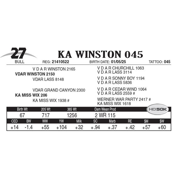 KA Winston 045