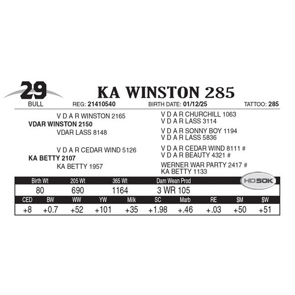 KA Winston 285