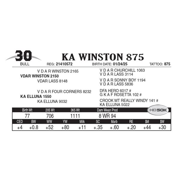 KA Winston 875
