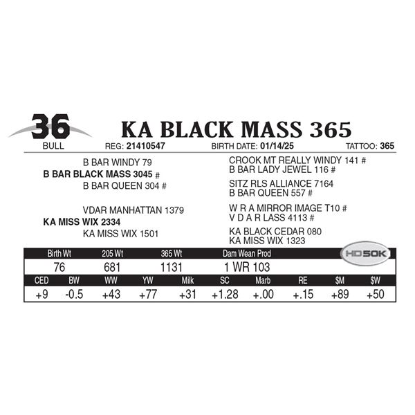 KA Black Mass 365