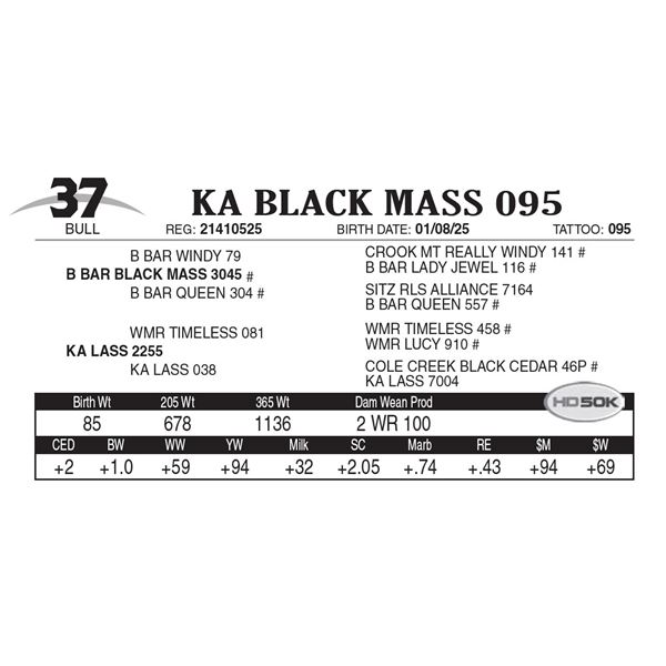 KA Black Mass 095