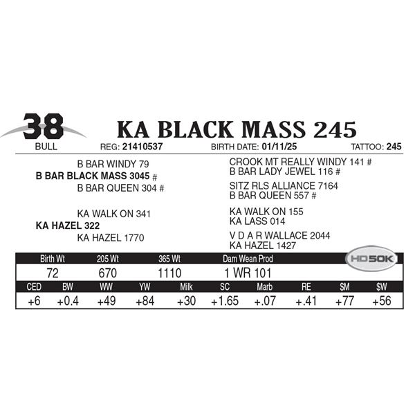 KA Black Mass 245
