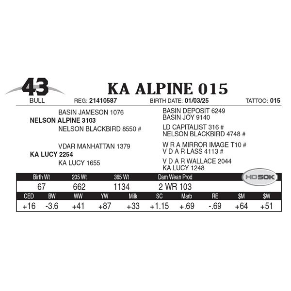 KA Alpine 015