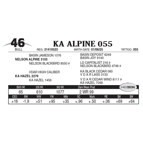 KA Alpine 055