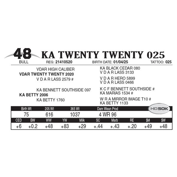 KA Twenty Twenty 025