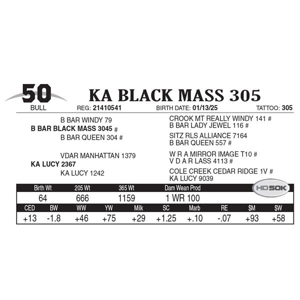 KA Black Mass 305
