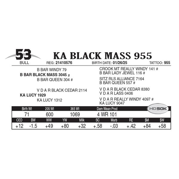 KA Black Mass 955