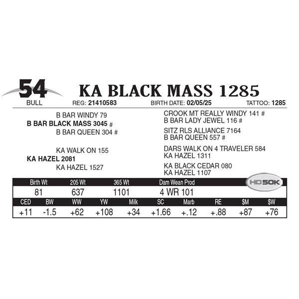 KA Black Mass 1285