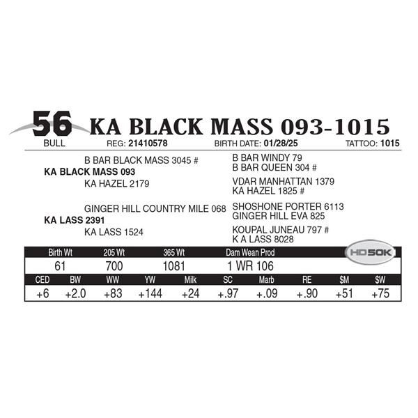 KA Black Mass 093-1015