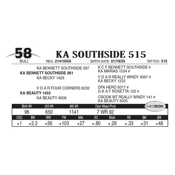 KA Southside 515